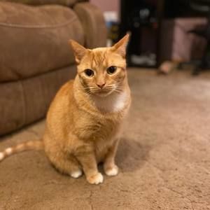 Meet your Posher, Luke